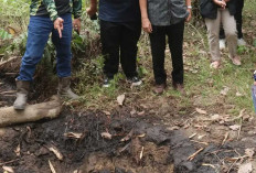 Pemkab Lahat Mantapkan Persiapan Launching Sumur Minyak Rakyat di Banjarsari