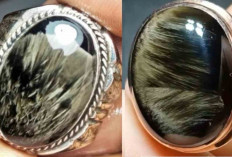 Ungkap Misteri Batu Akik Macan: Simpan Aura Raja Hutan, Konon Bisa Bangkitkan Keberanian Gaib  