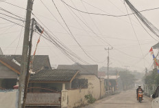 Kabut Asap Pekat Selimuti Palembang hingga Minggu Siang, Warga Mulai Resah