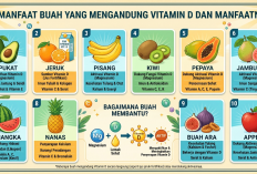 Bukan Hanya Sinar Matahari: 10 Pilihan Buah Segar Kaya Kandungan Vitamin D yang Bagus untuk Jaga Imun Tubuh