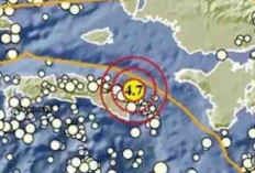 Gempa Magnitudo 4,7 Guncang Seram Bagian Timur pada Kedalaman 11 Km, Tak Berpotensi Tsunami