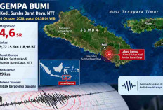Gempa Beruntun Guncang Sejumlah Wilayah Indonesia Pagi Ini, Kodi NTT Terkuat M4,6