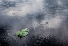 Cuaca Sumatera Selatan Hari Ini: Mayoritas Daerah Diprediksi Hujan, Cek Wilayah Anda!