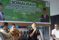Fakta Mengejutkan! Penyelundupan Satwa Liar Masih Marak di Indonesia, Ini Upaya Penindakannya