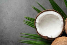 Kelapa Bukan Sekadar Buah Biasa! Ini Manfaatnya yang Bikin Kaget