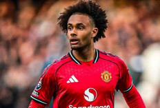 Akhir Cerita Joshua Zirkzee di Manchester United Bertahan Atau Pergi