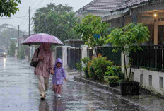 Prakiraan Cuaca Sumsel Hari Ini, Sejumlah Daerah Hujan Ringan, Palembang Udara Kabur