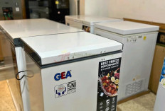 Freezer Box, Faktor Penting yang Sering Diabaikan dalam Usaha Frozen Food Rumahan