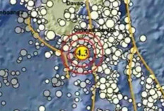 Gempa Magnitudo 4,3 Pagi Ini Guncang Tahuna Sulut, Tak Berpotensi Tsunami