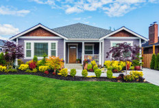 6 Pilihan Rumput Taman Halaman Rumah, Nomor 1 Perawatannya Lebih Mudah