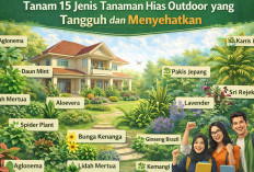 Rumah Sejuk Tanpa AC: Tanam 15 Jenis Tanaman Hias Outdoor yang Tangguh dan Menyehatkan