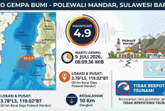 Gempa Magnitudo 4,9 Guncang Polewali Mandar, BMKG Tegaskan Tak Berpotensi Tsunami