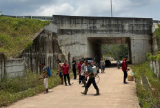 Akses Desa Talang Batu Kini Plong! Semak Belukar 6 Km yang Ganggu Jalan Akhirnya Dibabat Habis