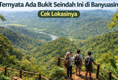 Banyak yang Belum Tahu, Ternyata Ada Bukit Seindah Ini di Banyuasin! Cek Lokasinya