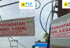 PLN Icon Plus Tertibkan Jaringan Internet Ilegal di Tiang PLN Kawasan Gandus