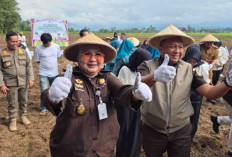 Jaksa Mandiri Pangan, Kejari Pagar Alam Bersama Kajati Sumsel Tanam Jagung
