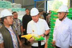 Tinjau Mendadak: Gubernur Herman Deru Pastikan Stok Beras Sumsel Aman Hingga 10 Bulan ke Depan