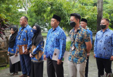 FINAL! Inilah 2 Syarat Wajib PPPK Paruh Waktu Naik Status