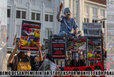 Puluhan Ribu Orang Bikin Geger, Desak Pemerintah Hentikan Ekspor Monyet Ekor Panjang!