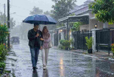 Prakiraan Cuaca Sumsel 31 Oktober 2026: Mayoritas Hujan Ringan, Palembang Udara Kabur