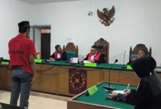 Jual Kucing Dilindungi via Facebook, Warga Palembang Divonis 6 Bulan Penjara dan Denda Rp100 Juta