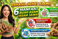 Rahasia Sehat Alami! 6 Manfaat Buah Asam Jawa untuk Menjaga Pencernaan, Jantung, dan Imunitas Tubuh