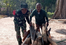 Bikin Haru! Satgas TMMD Kodim Salatiga Gercep Bantu Mbah Harjo Dorong Angkong Berisi Kayu Bakar