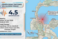 BMKG Catat Gempa Beruntun di Sigi Sulteng, Magnitudo hingga 4,5