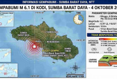 Gempa M 6,1 Guncang Sumba Barat Daya Pagi Ini, BMKG Ungkap Titik Episentrum dan Kedalamannya
