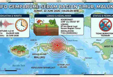 Gempa Magnitudo 4,3 Guncang Maluku Pagi Ini, Tak Berpotensi Tsunami