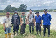 Nasib Petani Belitang Pasca Banjir: Komisi II DPRD OKU Timur Perjuangkan Bantuan Benih dan Ganti Rugi