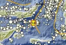 Rentetan Gempa Guncang Indonesia, Bolaang Uki Sulut Terkuat Magnitudo 5,0