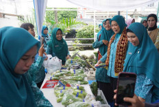 Bongkar Rahasia Sukses Warung PKK dan UP2K, Feby Herman Deru Puji Langsung Inovasi Cerdas Sheila Noberta
