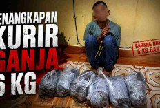 Operasi Gabungan Berhasil! Kurir Ganja Diamankan Bersama Barang Bukti 6Kg