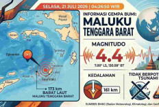 Indonesia Timur Diguncang Rentetan Gempa Pagi Ini, Terkuat M4,4 di Maluku