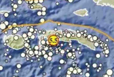Gempa Magnitudo 5,5 Guncang Maluku Tengah pada Kedalaman 56 Km, Tak Berpotensi Tsunami