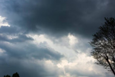 Prakiraan Cuaca BMKG Hari Ini, Sebagian Sumsel Berawan, Palembang Diguyur Hujan Ringan