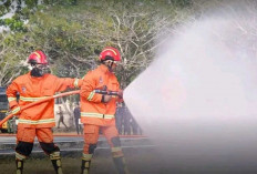 Bukan Sekadar Seremoni, Bupati Panca Wijaya Pimpin Langsung Pasukan Atasi Ancaman Karhutla di Ogan Ilir