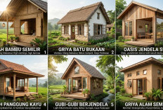 Bikin Rumah Kecil Jadi Sejuk Tanpa AC, Intip 6 Ide Ventilasi Alami Ala Hunian Pedesaan Ini