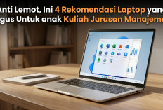 Mahasiswa Manajemen Wajib Tahu! Ini 4 Rekomendasi Laptop Terbaik yang Bikin Tugas Cepat Selesai