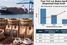 Ekspor Kopi Aceh Anjlok, Devisa Baru Capai Rp440 Miliar di Awal 2026, Ini Penyebabnya