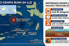 Gempa Magnitudo 4,2 Guncang Maluku Tenggara Barat Pagi Ini, Tak Berpotensi Tsunami