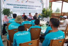 Bukan Hanya Tempat Hasilkan Buah, Kebun Mangga di Simpang Bayat Siap Menjadi Agrowisata Desa