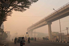 Kabut Asap Makin Parah di Palembang, Warga Tuntut Kerja Nyata Pemda