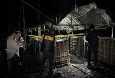 Digerebek Saat Patroli Malam, 2 Lokasi Penyulingan Minyak Ilegal di Muba Diobrak-Abrik Polisi