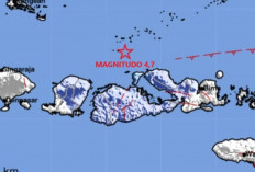 Rentetan Gempa Dini Hari Guncang Sumbawa dan Sejumlah Daerah, Terkuat Magnitudo 4,7!
