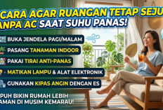 5 Cara Agar Ruangan Tetap Sejuk Tanpa AC Saat Suhu Panas, Ampuh Bikin Rumah Lebih Nyaman di Musim Kemarau!