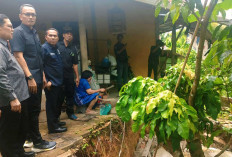 Respon Cepat Laporan Warga, Ketua DPRD Prabumulih Deni Victoria Tinjau Langsung Lokasi Longsor Karang Raja