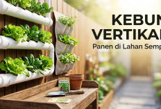 Lahan Sempit Bukan Halangan: 3 Ide Kreatif Kebun Vertikal di Pagar Rumah untuk Panen Sayuran Segar Setiap Hari