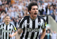 Arsenal Menghubungi Gelandang Newcastle yang Diincar Dua Raksasa Manchester